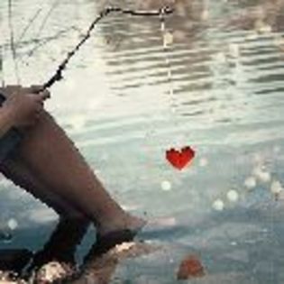 img12866482411654 - Lovely 2