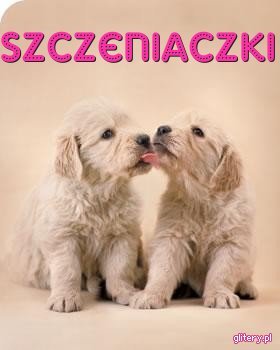 XFunnyScHooLX - album cu cateii