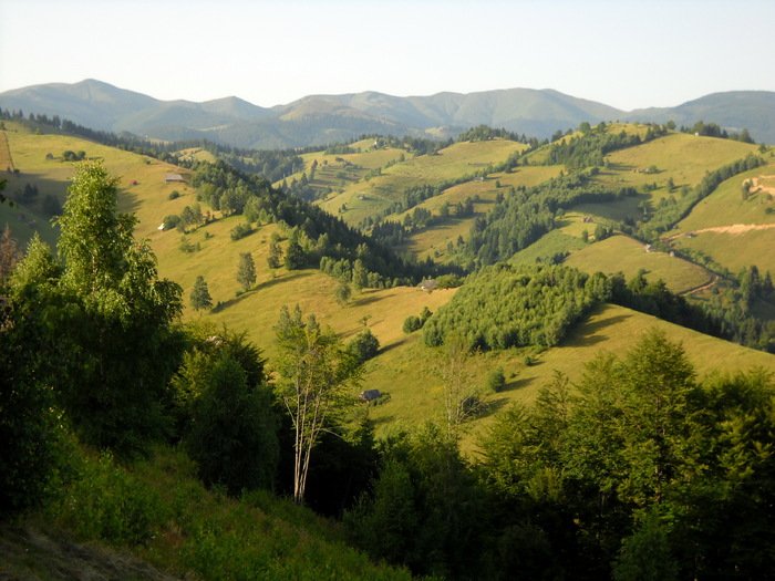 Peisaje (21); bran simon peisaj munte vladelea
