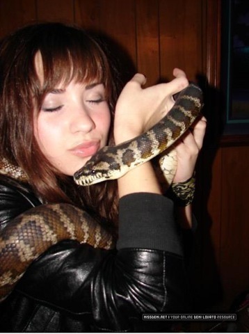 dancewithsnakecelebritysupermodelsAmericangirlsingerDemiLovato