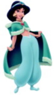 Christmas Jasmine - Jasmine