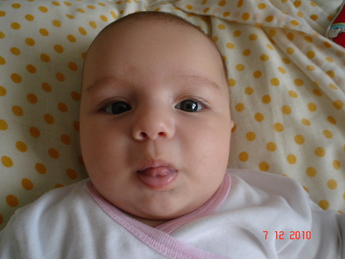 DSC03518