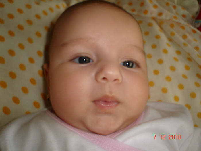 DSC03519