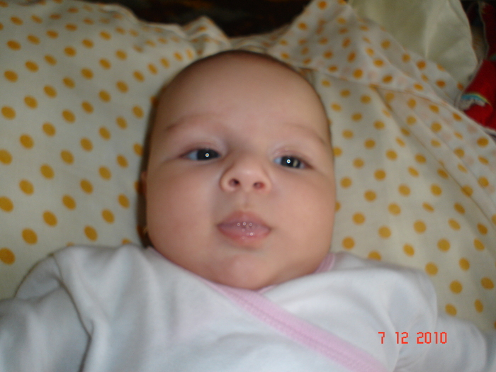 DSC03520