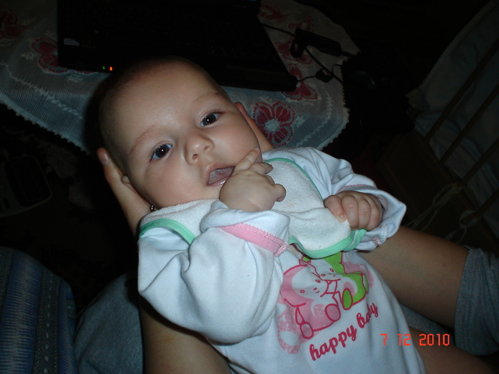 DSC03531