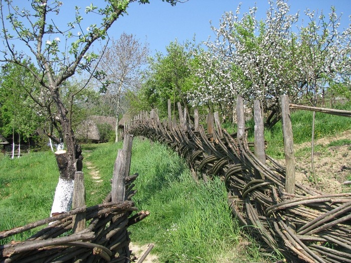 muzeul satului - Maramures