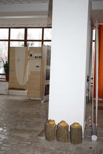 targ albine, 19-20 febr.2010 006