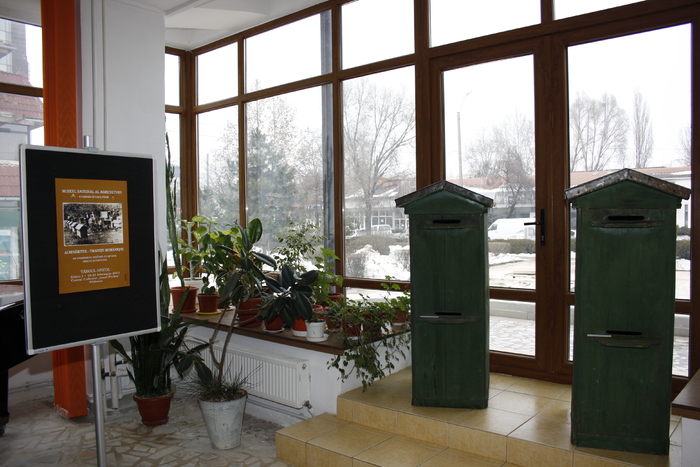 targ albine, 19-20 febr.2010 007