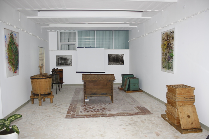 targ albine, 19-20 febr.2010 008