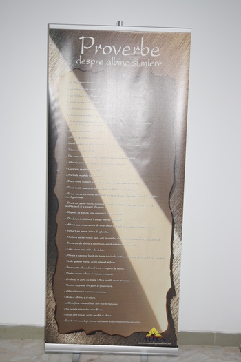 targ albine, 19-20 febr.2010 009