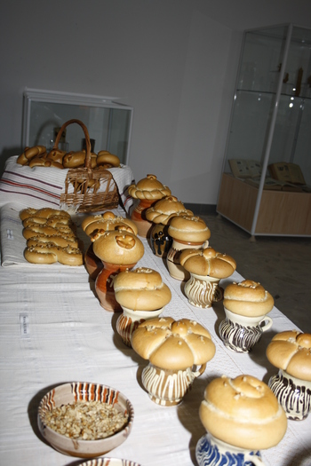 targ albine, 19-20 febr.2010 031