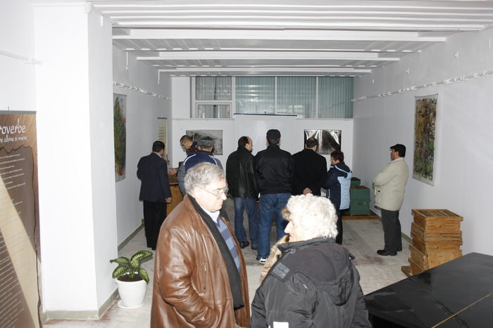 targ albine, 19-20 febr.2010 049