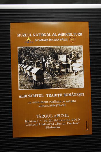 targ albine, 19-20 febr.2010 060