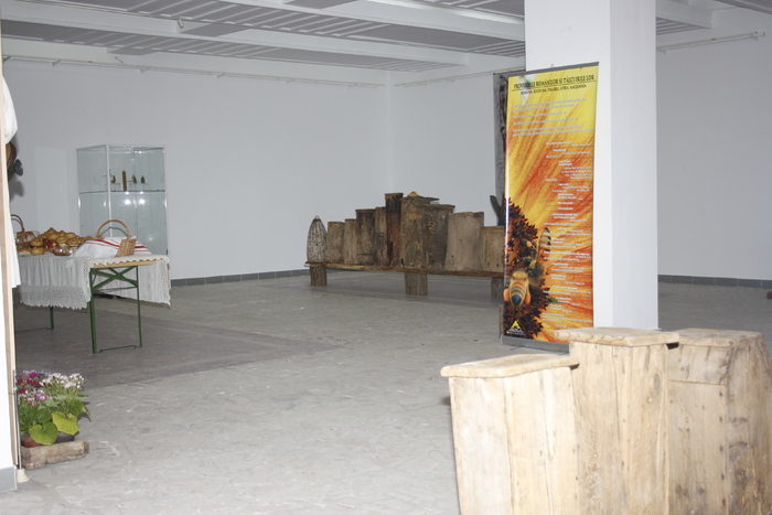 targ albine, 19-20 febr.2010 091