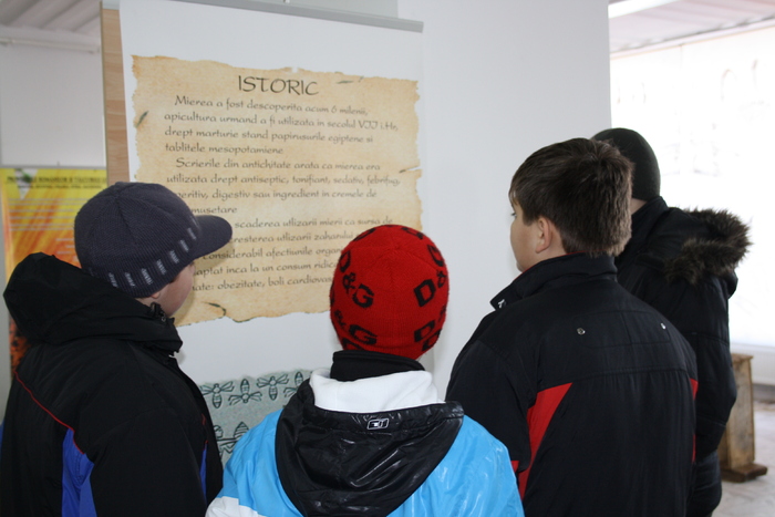 targ albine, 19-20 febr.2010 112