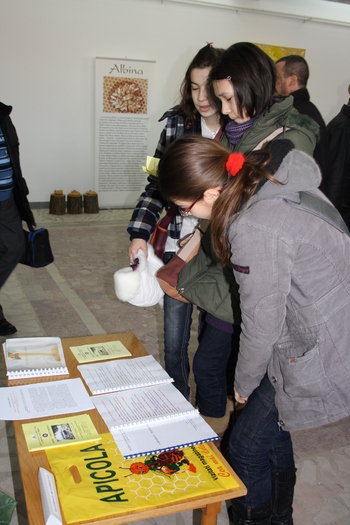 targ albine, 19-20 febr.2010 132