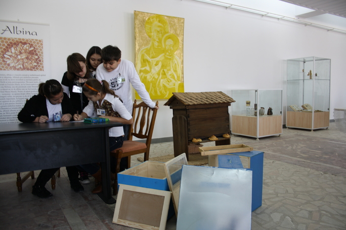 targ albine, 19-20 febr.2010 165