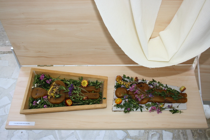 targ albine, 19-20 febr.2010 183