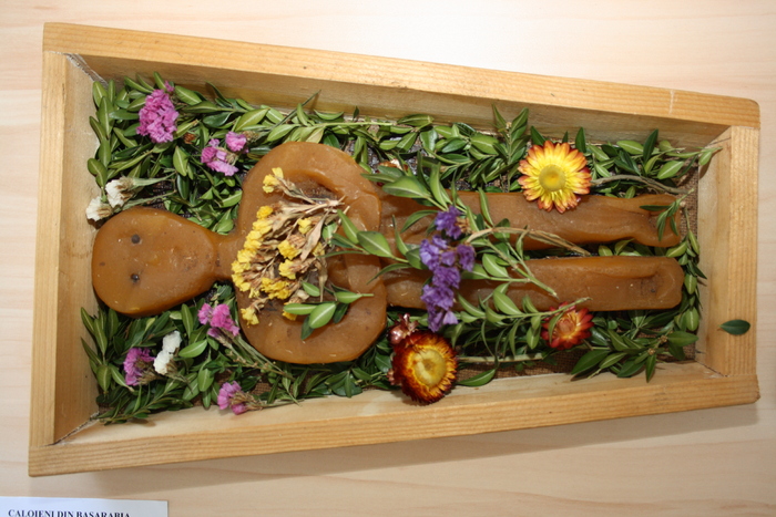 targ albine, 19-20 febr.2010 184