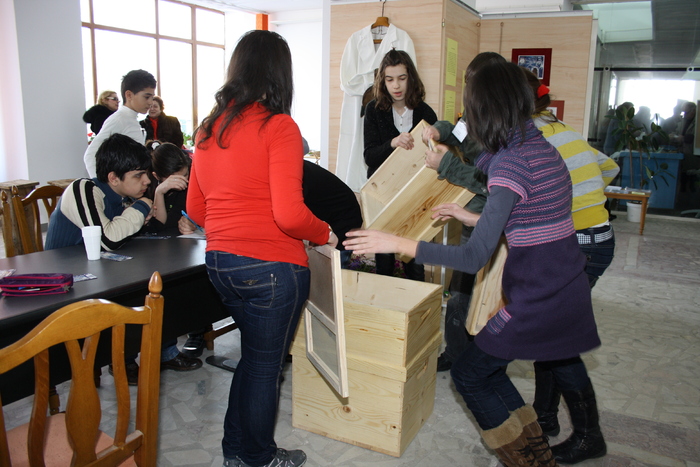 targ albine, 19-20 febr.2010 190