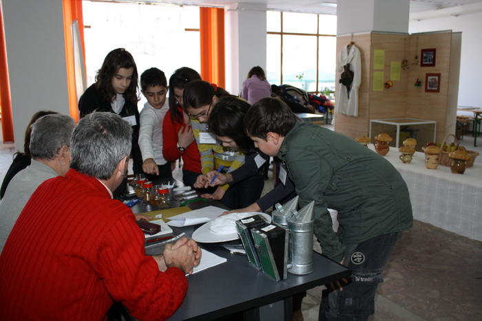 targ albine, 19-20 febr.2010 222