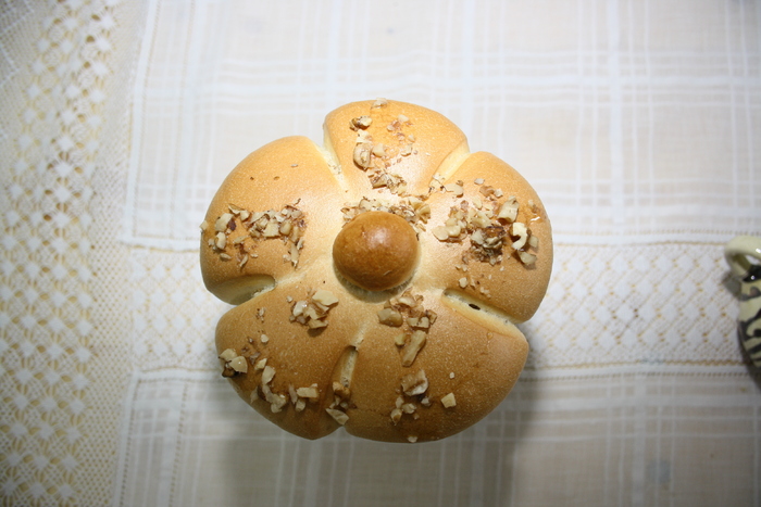 targ albine, 19-20 febr.2010 225