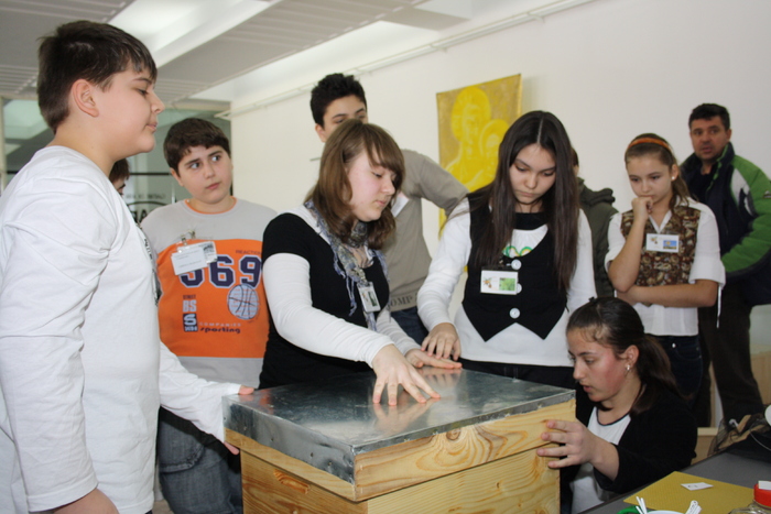 targ albine, 19-20 febr.2010 246