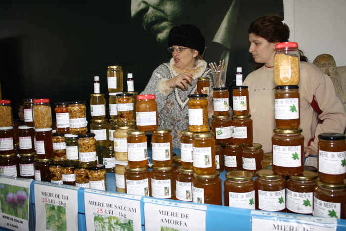 targ albine, 19-20 febr.2010 247