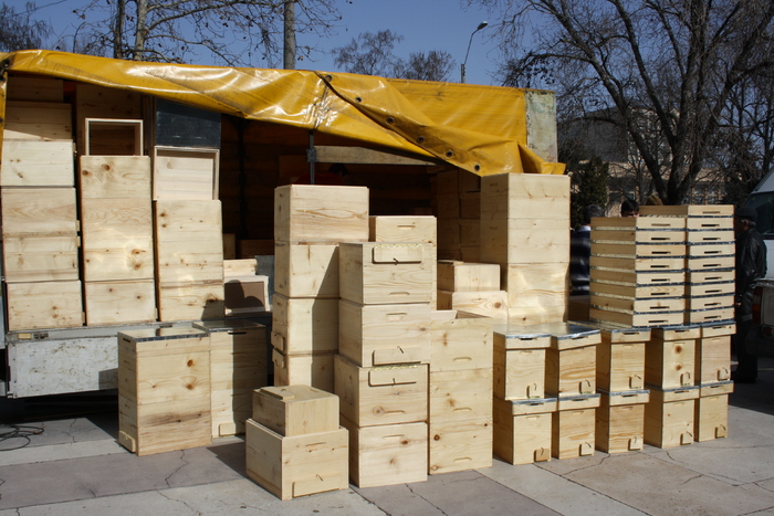 targ albine, 19-20 febr.2010 294