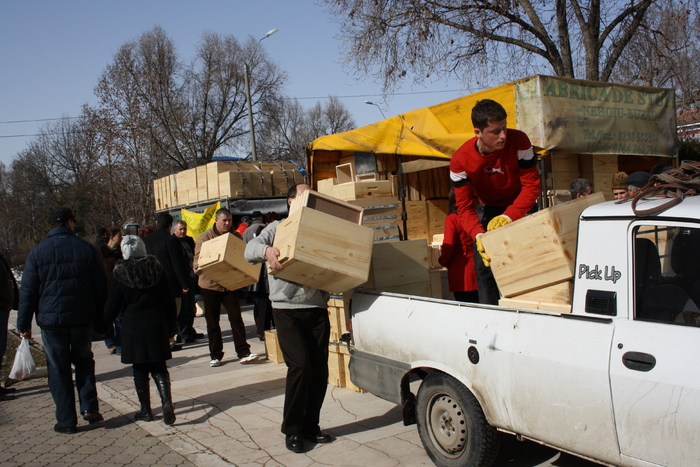 targ albine, 19-20 febr.2010 298