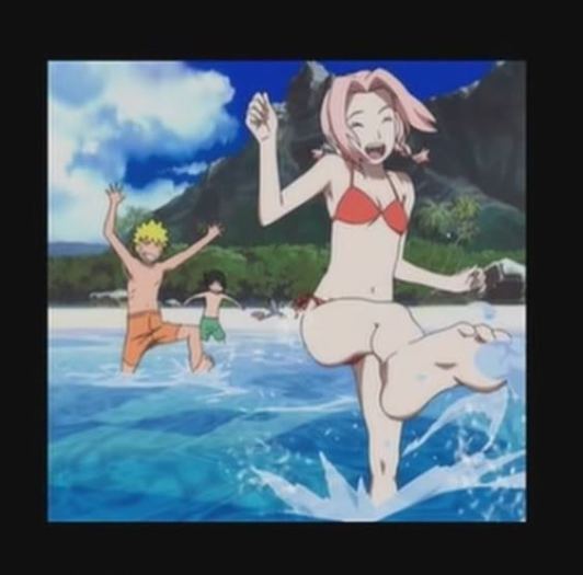 NarutoSakuraLeebeach - suMMer