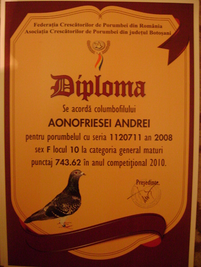 14 - diplome si cupe