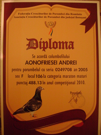 15 - diplome si cupe
