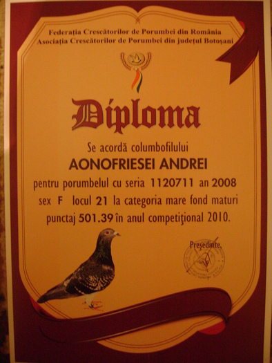 16 - diplome si cupe