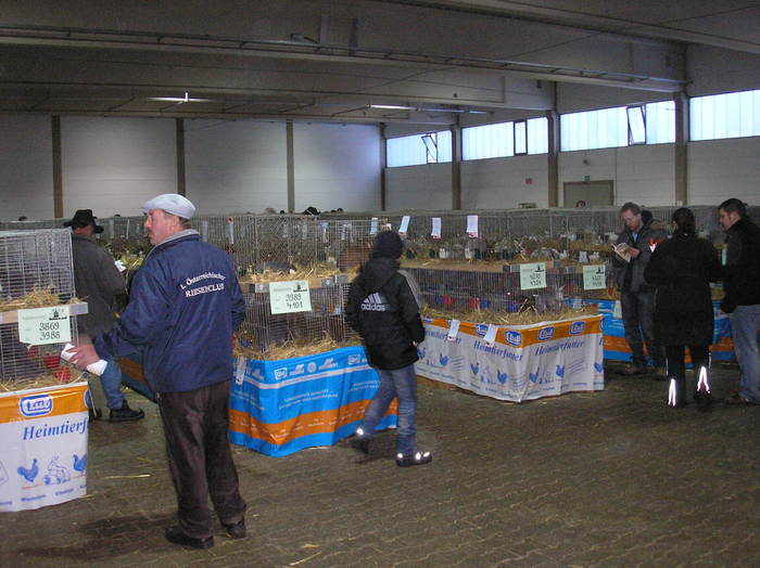 P1010311 - EXPOZITIE straubing