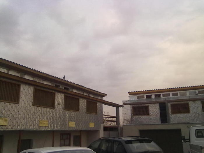 Conditii optime...; Crescatoriile Multiplului Campion UCPR,Ms.Oprea Fl.(Finta)DB
