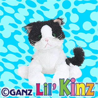 preview_lil_black_and_white_cat - poze cu webkinz