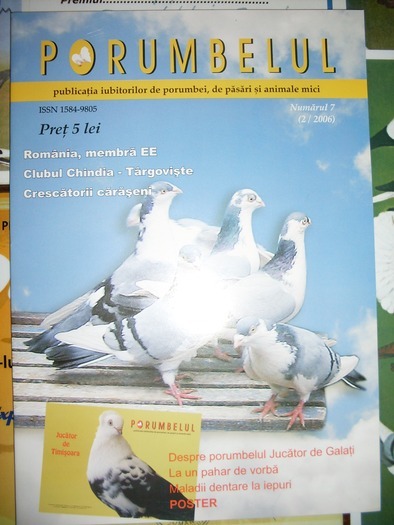 Nr 7 - N-Revista PORUMBELUL