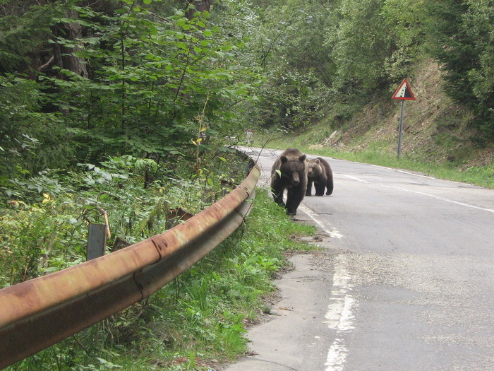 IMG_0266 - ROMANIA PAMANT SFANT