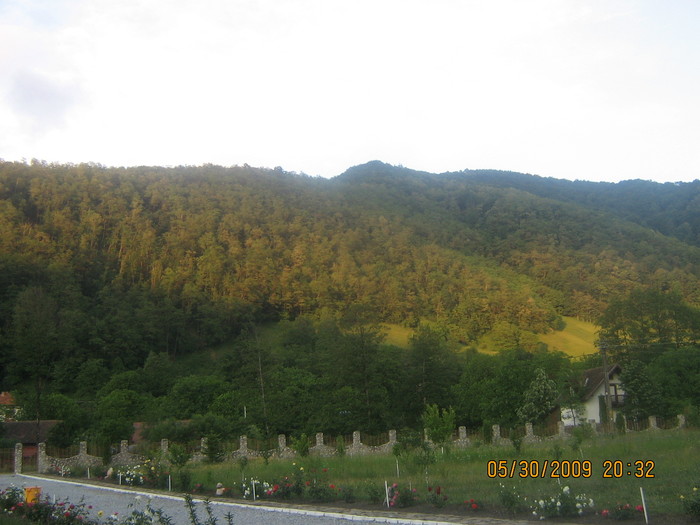 IMG_1298 - ROMANIA PAMANT SFANT