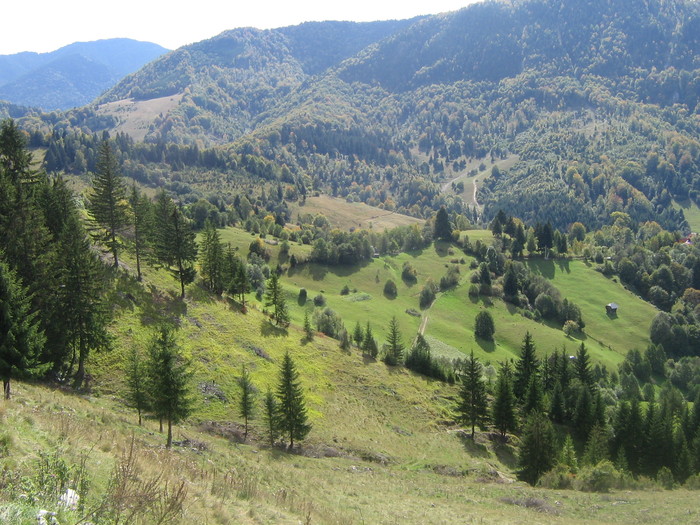 IMG_0291 - ROMANIA PAMANT SFANT