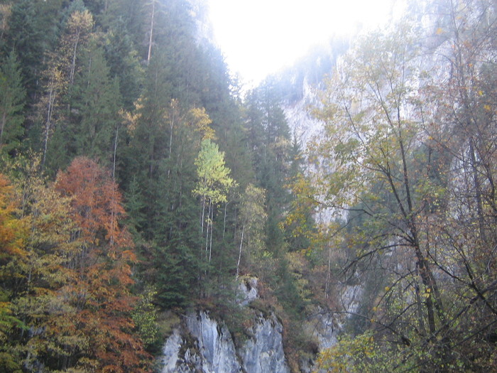 IMG_0737 - ROMANIA PAMANT SFANT