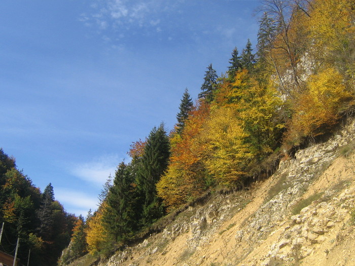 IMG_0763 - ROMANIA PAMANT SFANT