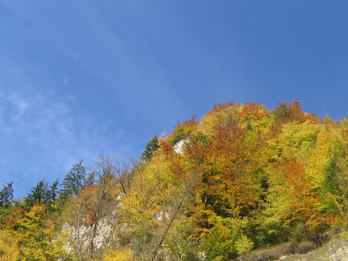 IMG_0767 - ROMANIA PAMANT SFANT