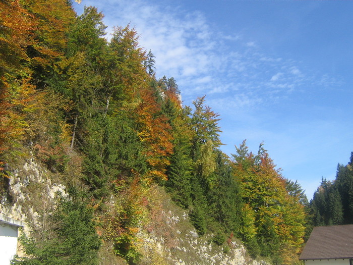 IMG_0770 - ROMANIA PAMANT SFANT