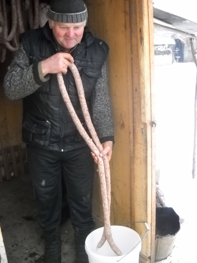 sfoara de tras galeata din fantana galeata