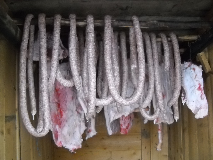 afumatoare cu.......... porumb