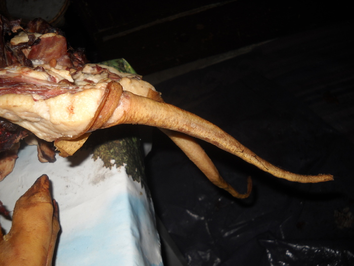 Le-a intrat sobolanul in ...gaura