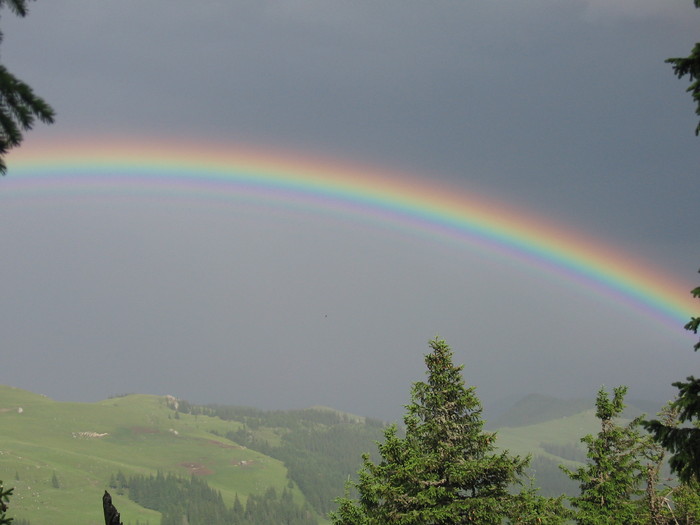 IMG_4532 - ROMANIA PAMANT SFANT