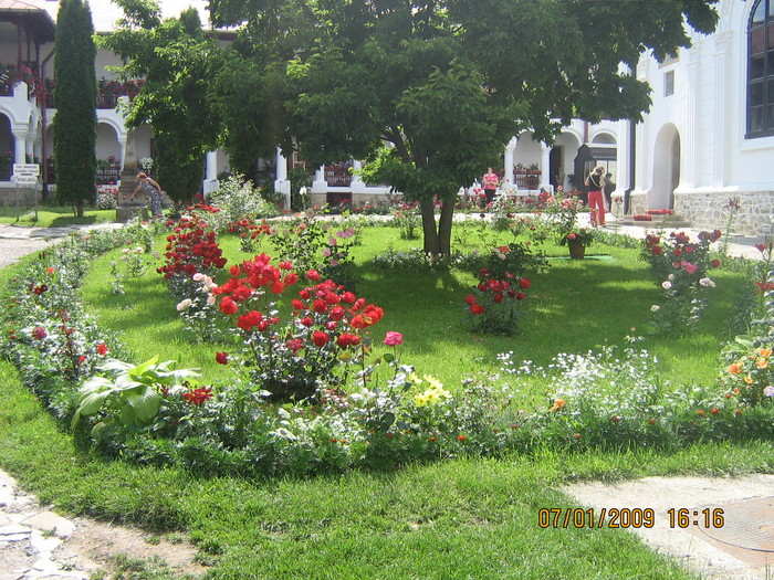 IMG_1498 - ROMANIA PAMANT SFANT